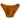 Camp Muscle NPC Posing Trunks Copper
