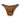Camp Muscle Pro-Style Posing Trunks Chocolate Foil