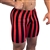 Black Red Stripe Vintage Spandex Shorts Bodybuilding Gym Training